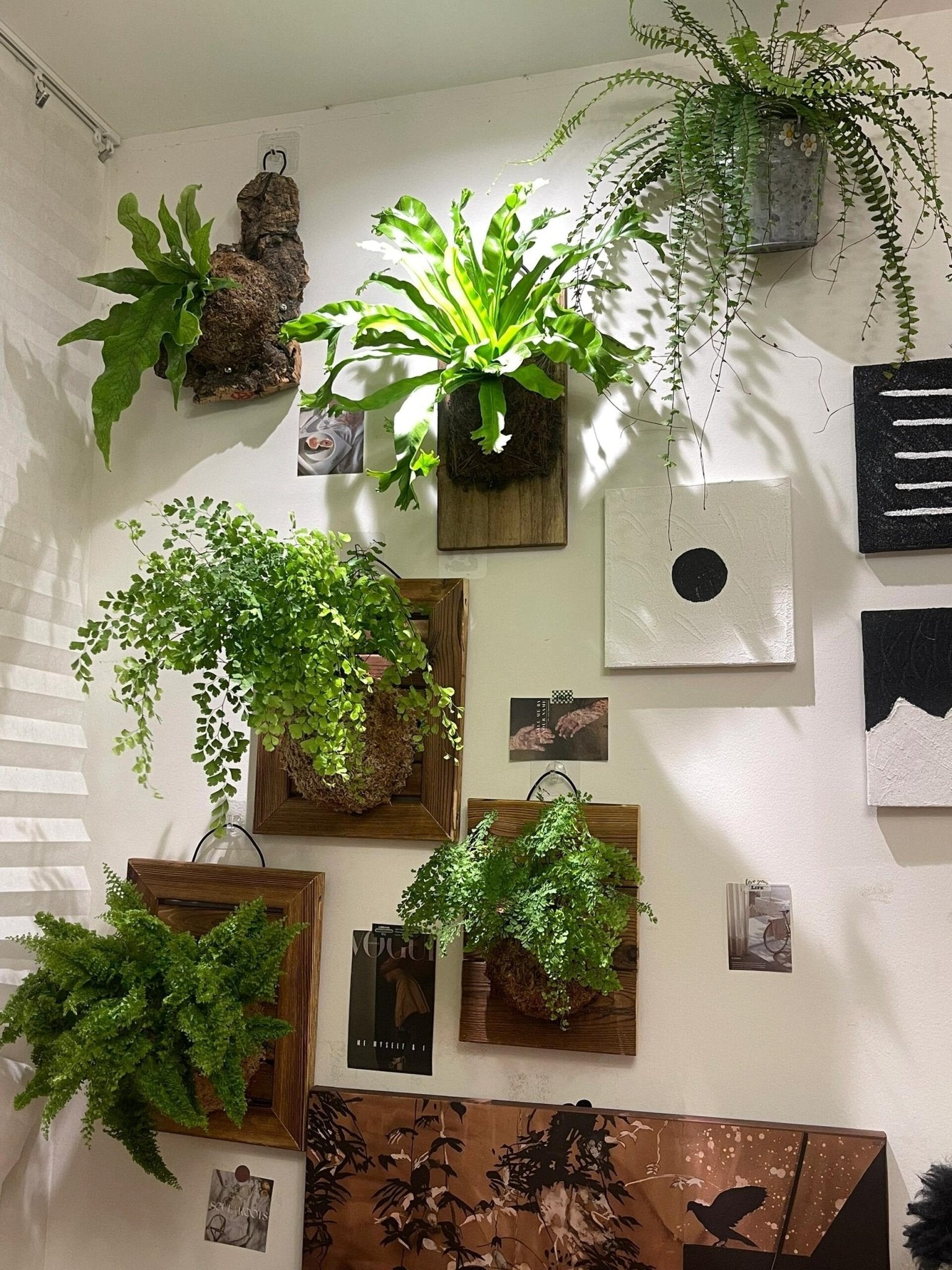 Transform Your Space with Wood Wall Art Decor and Indoor Plants  Tiny  Porcelain