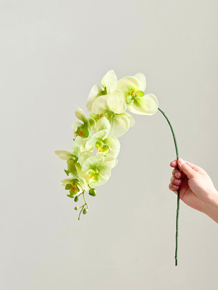 Faux Phalaenopsis Orchid Artificial Flower Hot Sale 50% OFF