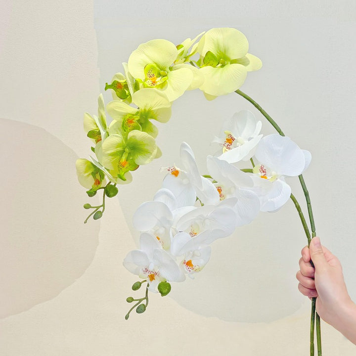 Faux Phalaenopsis Orchid Artificial Flower Hot Sale 50% OFF