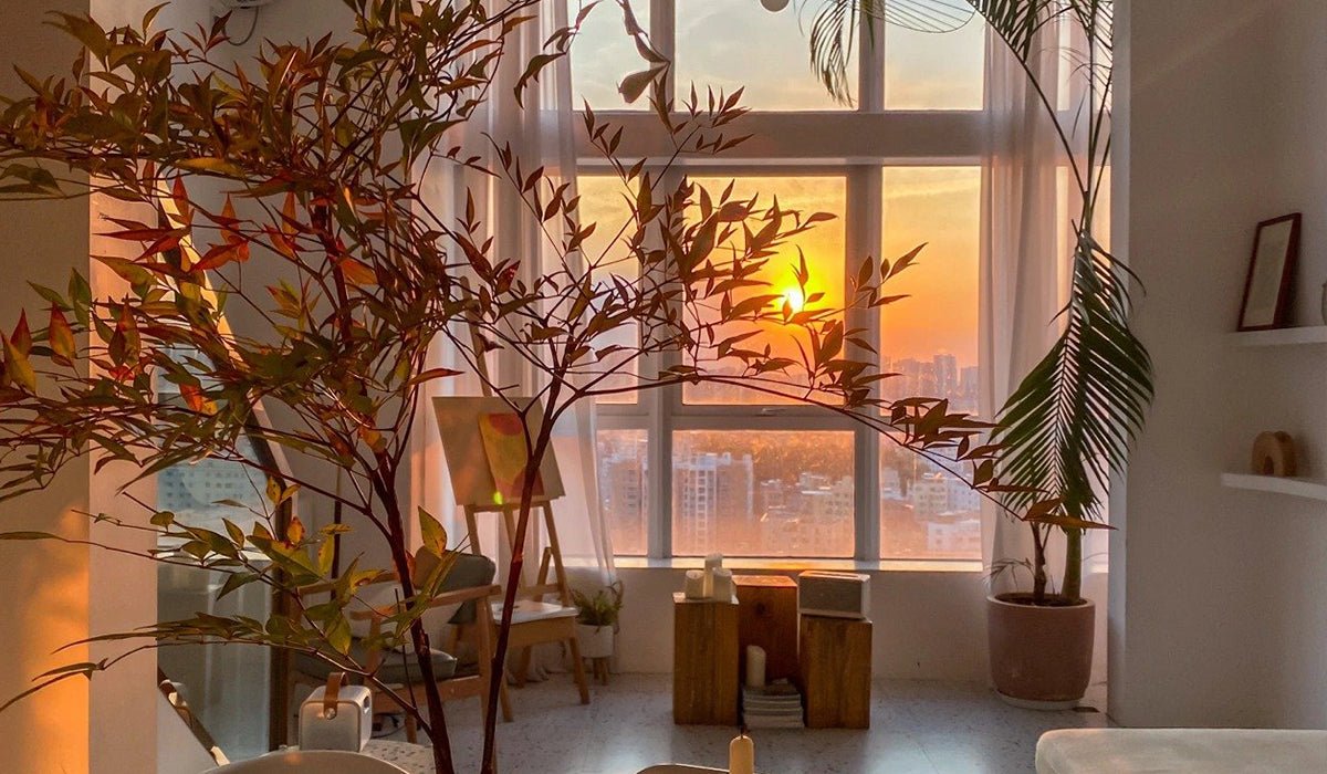 Tour a Dreamy Home That Feels Like a Tropical Vacation - Tiny Porcelain