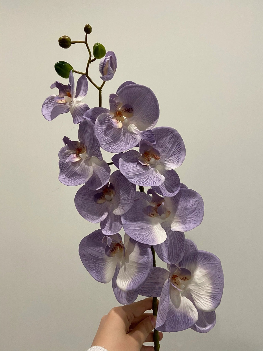 37" Phalaenopsis Purple Artificial Flower - Tiny Porcelain