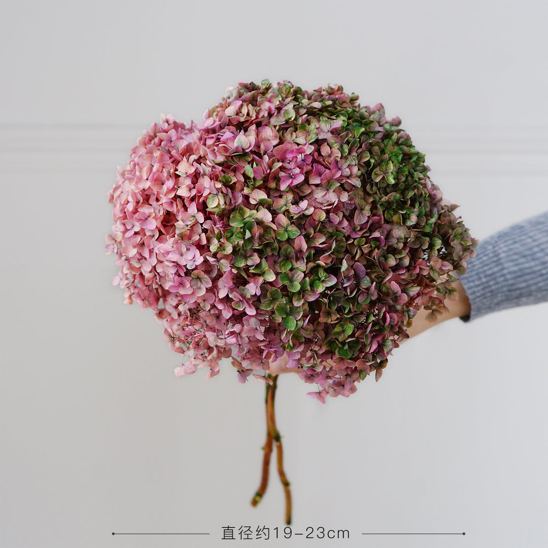 Dried Flower Hydrangea Home Decorative Flower Small Leaf Red Gradient Color
