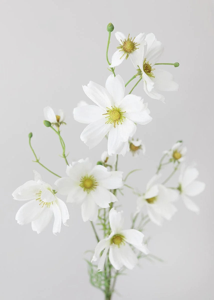 White Artificial Cosmo Daisy Flower - 37"