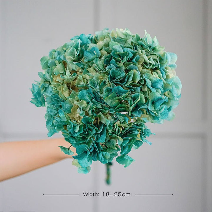 Dried Flower Hydrangea Home Decorative Flower Large Leaf Green - Tiny Porcelain