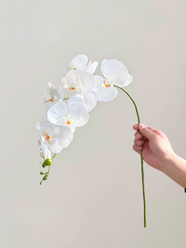 Faux Phalaenopsis Orchid Artificial Flower Hot Sale - Tiny Porcelain