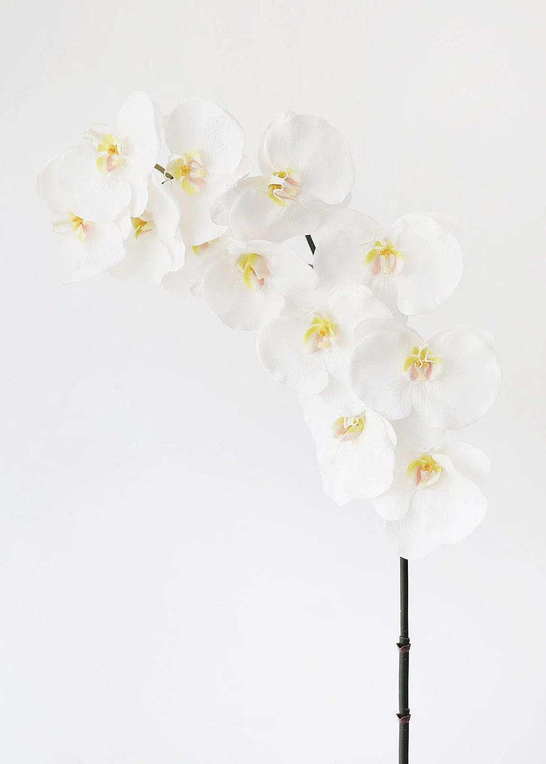 Large White Faux Orchids - 44" - Tiny Porcelain