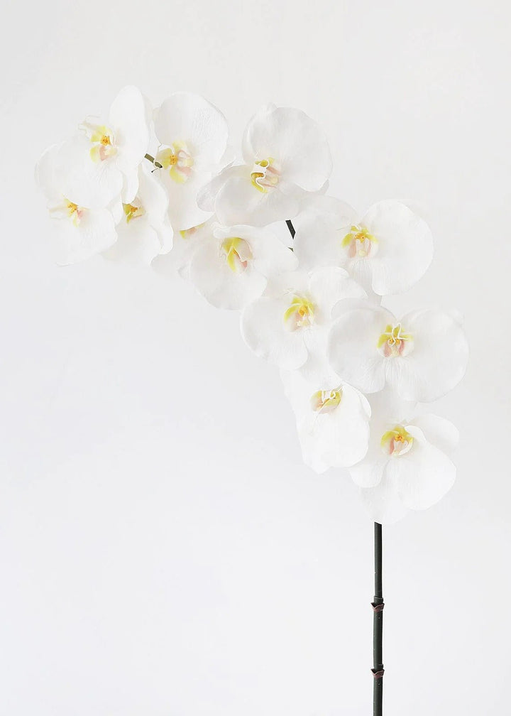 Large White Faux Orchids - 44" - Tiny Porcelain