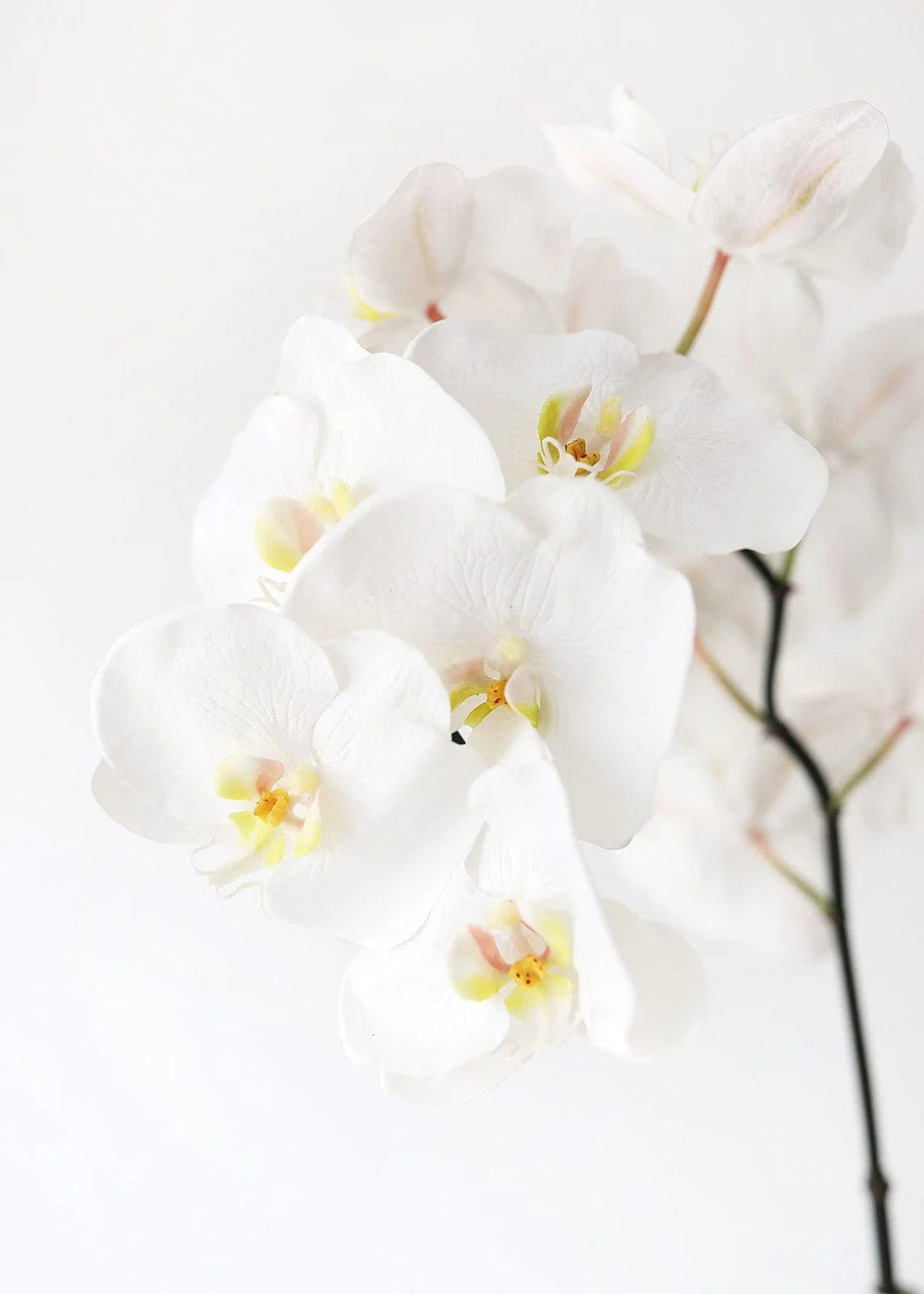 Large White Faux Orchids - 44" - Tiny Porcelain